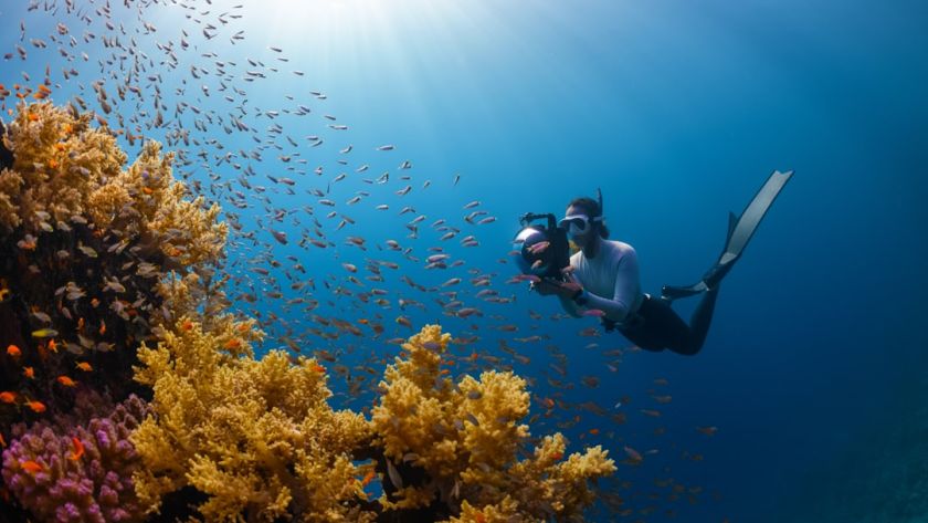 Home to kaleidoscopic-colored coral reefs and an abundance of diverse marine life | Islands of NEOM- NEOM, Saudi Arabia.