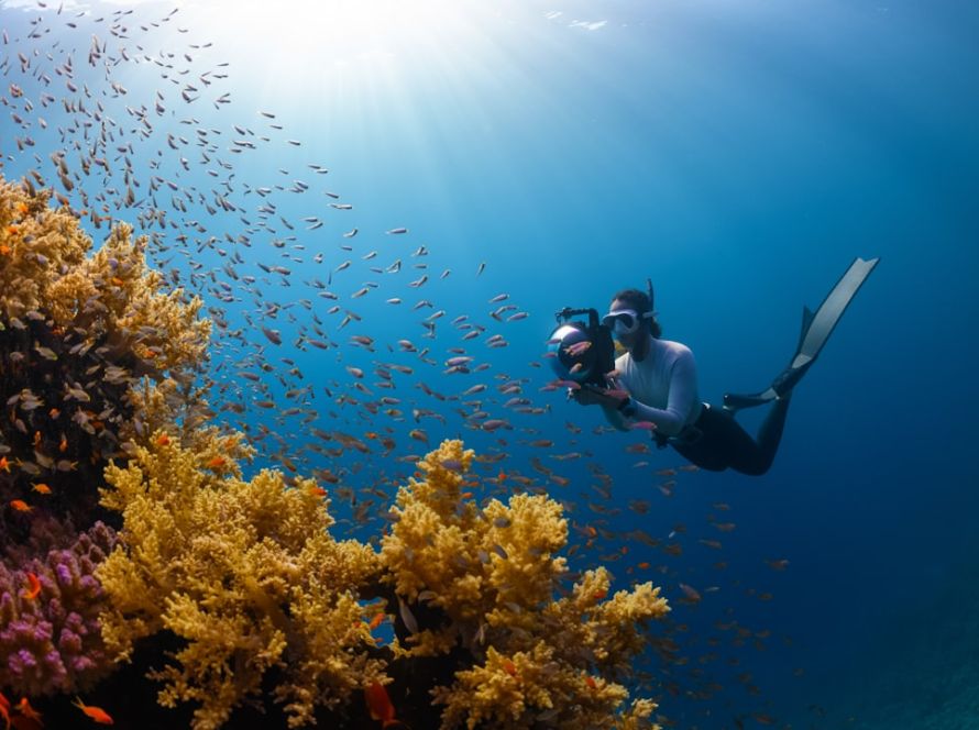 Home to kaleidoscopic-colored coral reefs and an abundance of diverse marine life | Islands of NEOM- NEOM, Saudi Arabia.