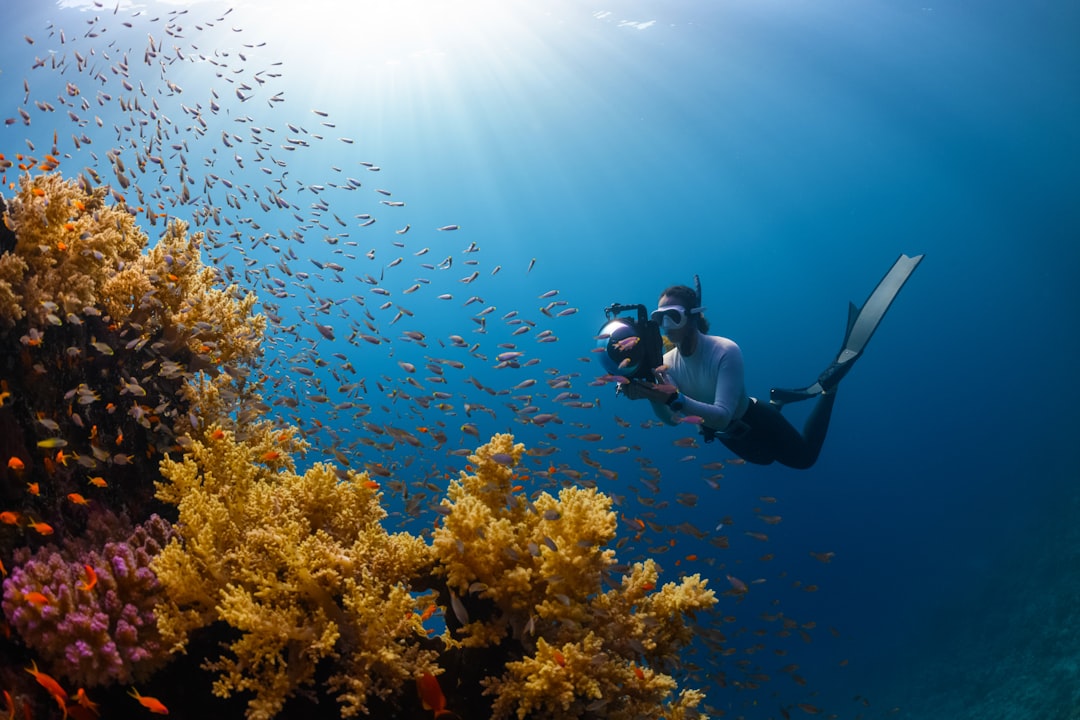 Home to kaleidoscopic-colored coral reefs and an abundance of diverse marine life | Islands of NEOM- NEOM, Saudi Arabia.