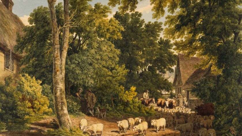 Driving Home The Flock, 1812 by Robert Hills